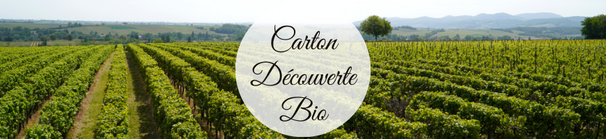 Carton Découverte BIO Barbecue : Sarments et Bois de Vigne